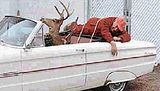 Deer Hunter